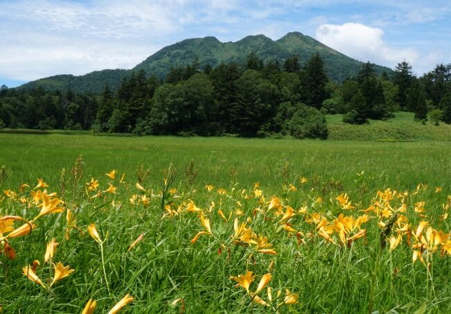 今度は尾瀬沼 ニッコウキスゲの花景色を見るトレッキング 武尊 尾瀬 片品 群馬県 の旅行記 ブログ By まりも母さん フォートラベル