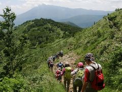 八幡平の雄大な景色と高山植物を愛でながら歩く