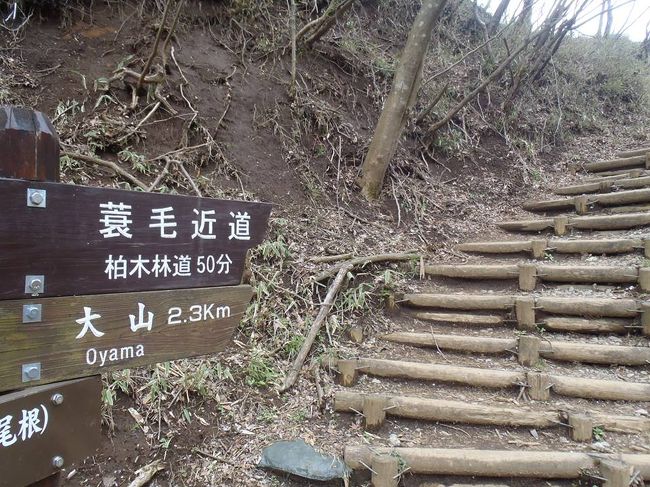 過去、ヤマビルの恐怖にて撤退した大山へリベンジしてきました〜。ヤビツ峠からのゆったりハイク♪駐車場が結構いっぱいでびっくり。予想以上に人気あるのね！<br /><br />午後から崩れる予定らしいので、ぱぱっと行ってきました♪<br />下社からの合流を過ぎたらもっと人が増えて、山頂に着いたらすごい人の数だった･･･！