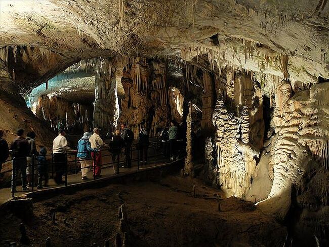 スロベニアでぜひ訪れてみたいと思っていたのは、ヨーロッパ最大の規模を誇るというポストイナ鍾乳洞やその近くの洞窟城、それに世界遺産にも登録されたという地底の大渓谷を持つシュコツィヤン鍾乳洞。<br /><br />発達したカルスト地形を持つスロベニアにはまだまだ鍾乳洞があるんですが、上記二つは見応えも十分。<br />ポストイナ鍾乳洞は、林立する華麗な鍾乳石群が芸術的。<br />シュコツィヤン鍾乳洞は、地底にあるとは思えない豪壮な渓谷が大迫力。<br />どちらがいいと言えないほど全く異なる景観と雰囲気があるので、お時間に余裕があれば二つとも訪れてみるといいですよ。<br /><br />ポストイナ鍾乳洞もシュコツィヤン鍾乳洞も、現地でツアーに参加して内部見学するようになっています。<br />できれば事前にツアー時間を調べてレンタカーで効率的に回ると、洞窟城を含めてもリュブリャーナからの日帰りが可能です。<br /><br />でも、今回はレンタカーを使わない一人旅だし、どうやって回ろうかと思っていると、知人から車の手配をしてあげるというオファーが。<br />その知人の友人がリュブリャーナにいて、都合が合えば運転手さんになってくれるんだとか。<br /><br />最初は、「自分が直接知らない人にただでお願いするのは気詰まりだし気を遣うし…。」と断りかけると、<br />「じゃ、日当を払って運転手さんになってもらえば、お互い気持ちもいいんじゃない？　彼なら安全運転だし、人柄もいいし。その方が絶対楽！」で、決まり！　<br /><br />…というわけで、この日一日、知人の友人に、運転手さんとして案内してもらいました。<br />いつものSUR SHANGHAI風の旅ではなくなるけど、ありがたや、ありがたや〜。(^人^)<br />この編では、最初に訪れたポストイナ洞窟をご紹介しようと思います。<br /><br /><br />表紙の画像は、ポストイナ鍾乳洞の内部。<br />これまで見たことの無い規模と美しさを兼ねた鍾乳洞で、無数の鍾乳石が作り出す景観に息を呑みました。<br />