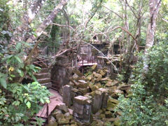 ラピュタの経験