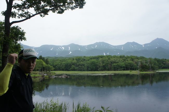 北海道旅行２日目　<br /><br />羅臼〜知床五湖〜ウトロ〜網走〜女満別空港<br /><br />早朝に車に乗り知床峠を超えて羅臼の国後島展望台で国後島を眺めました。<br />途中鹿に遭遇しました。<br />ホテルに戻り、荷物を積み知床五湖に向かう。<br />知床五湖に到着するが予報通り、天気がよくなかった。<br />知床五湖はクマ出没期の為ガイドツアーを８：５０〜を事前予約していきました。<br />知床五湖を五湖、四湖、三湖、二湖、一湖の順に約３時間知床五湖を楽しみました。前日には、クマが出没してツアーが中止になった時間があったとのこと。ガイドさんの説明も詳しく面白くてよかった。<br />知床五湖から『道の駅うとろシリエトク』へ行き、海産物などを見にいきました。するとたまたまテレビの生放送やっていた。<br />しばらくすると、テレビ局のスタッフからちょっと出てもらえませんか？と言われてはいと即答して、メインの方の後方で２人で商品を見て話しててもらえますかという依頼がありテレビにでました。<br />そのご網走方面へ向かう途中にオシンコシンの滝へ。<br /><br />＜マイルで北海道旅行　7/12〜7/18 ６泊７日＞							<br />7月12日							<br />15:45	関西空港	18:00	女満別空港		飛行機(50分遅れ）		<br />18:45	女満別(レンタカー）	20:55	ウトロ		<br />（宿泊）知床夕陽のあたる家<br /> 		<br />7月13日							<br />5:45	ウトロ〜羅臼〜ウトロ 07:15	　　 08:00	ウトロ				<br />8:30	知床五湖（3時間）	12:15	ウトロ道の駅、オシンコシンなど				<br />16:30	網走刑務所記念館	18:00	網走刑務所記念館				<br />20:15	女満別空港	21:00	新千歳空港		飛行機		<br />21:20	新千歳空港	22:30	札幌		<br />（宿泊）アパホテル 札幌すすきの駅南<br />		<br />7月14日							<br />8:00	札幌	10:15	旭川(レンタカー）				<br />11:00	旭山動物園(2時間30分）	13:30	旭山動物園発				<br />14:30	富良野	16:30	富良野				<br />18:00	旭川	20:00	札幌		<br />（宿泊）アパホテル 札幌すすきの駅南<br />		<br />7月15日							<br />9:30	札幌(レンタカー）	13:00	ニセコ(ラフティング）				<br />17:15	ニセコ(ラフティング）	17:45	ニセコヒルトン	<br />（宿泊）ヒルトンビレッジ		<br /><br />7月16日							<br />11:00	ニセコ	13:30	余市(ニッカ見学）				<br />15:30	余市	17:00	白い恋人パーク				<br />18:30	発寒	19:30	札幌		<br />（宿泊）ホテルリリーフ札幌すすきの<br /> 		<br />7月17日 ⇒ http://4travel.jp/travelogue/11033899							<br />9:00	札幌	11:00	積丹・美国				<br />13:30	積丹・美国	14:50	神威岬				<br />15:30	神威岬	16:45	小樽				<br />18:00	小樽	19:10	札幌		<br />（宿泊）ヴェッセルイン札幌すすきの 	<br />	<br />7月18日							<br />8:00	札幌	9:15	新千歳空港		飛行機		<br />11:55	新千歳空港	13:45	伊丹				<br /><br />※５泊６日予定で行ったが、台風の為、急遽１泊現地で追加しました