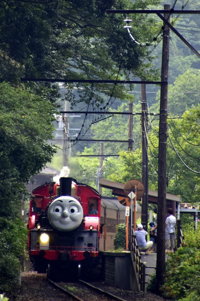 大人気であります大井川鐵道「きかんしゃジェームス」を追いかけて、川根温泉に訪れてみました。<br /><br />--<br />大井川鐵道の「きかんしゃトーマス」に乗って<br />http://4travel.jp/travelogue/10924013