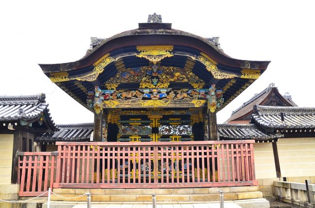 連日猛暑日の報道が絶えない中、意を決して京都市美術館で開催されているルーヴル美術館展に行ってまいりました。その寄り道と言うには方向が正反対なのですが、何時でも行けると油断して今まで足を運んでいなかった京都の表玄関と称される西・東本願寺を訪ねてみました。<br />西本願寺は、龍谷山と号する浄土真宗本願寺派大本山で、正式には「本派本願寺」と言います。親鸞の末女 覚信尼が、亡き父の遺骨を奉じて東山に大谷廟堂を創建し、御影を安置ししたのが本願寺の起源とされ、その後数奇な運命を経て１５９１（天正１９）年に現地に移されました。その所在地から、通称 「西本願寺」と呼ばれています。<br />浄土真宗は、鎌倉時代中期に親鸞が開山し、その後、室町時代中期には中興の祖 蓮如によって民衆の間に広く浸透しました。しかし、蓮如の教化は比叡山を刺激し、大谷本願寺は比叡山衆徒によって破却されるという憂き目をみます。その後、越前や近畿を転々とした後、山科本願寺を造営するも、またしても六角定頼や日蓮衆徒によって焼き払われました。やがて顕如が大坂石山御坊に堂宇を整備しますが、今度は天下統一を目前にした織田信長から築城を理由に退去を迫られ、石山合戦が勃発しました。そして１１年間に及ぶ持久戦の末、信長に屈する形で仏法存続を旨として和議を結び、紀伊鷺森に移転しました。その後、本能寺の変を経て秀吉の天下となり、京都市街経営計画に基づいて本願寺は再び京都に返り咲くことになり、顕如が七条堀川の現在地に寺基を移しました。<br />境内には、開祖 親鸞を祀る荘厳な国宝「御影堂」や「阿弥陀堂」だけでなく、「唐門」や「飛雲閣」、「書院」に代表される伏見城や聚楽第など秀吉の面影を今に伝える安土桃山文化の赴きや、かつてこの地に駐屯した新撰組の姿を偲ばせる「太鼓楼」など、歴史ロマンを揺さぶるものが遺されています。<br />境内マップです。<br />http://blog-imgs-34.fc2.com/k/i/m/kimamanikaiteru/img14922.jpg<br />http://sp.hongwanji.or.jp/map/img/map.jpg