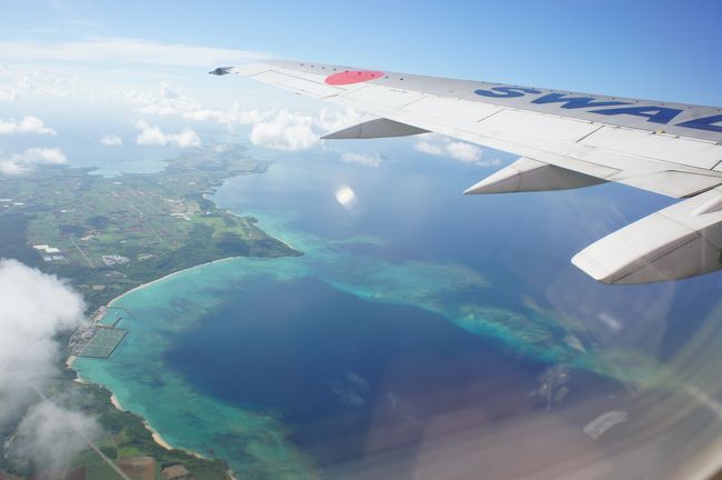 特典航空券で行く、宮古ブルーをリベンジ…いえいえ、探す旅に。<br />宮古からの帰りは朝一の便が取れなかったので、残りの1泊は那覇泊することに。<br />オープンしたばかりのホテルを、フォートラ経由で最安値で予約。<br />ハブ酒が怖くて、鬼門だった国際通りや市場にもリベンジ！