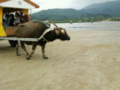 夫婦旅行】沖縄３rd☆３日目～西表