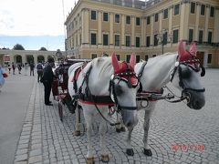 オーストリアとチェコの世界遺産を訪ねて【ウィーン/ザルツブルグ編】