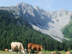 Tiroler Zugspitz Arena で滞在型のんびりハイキングの旅 ⑦ Biberwierで初リュージュ