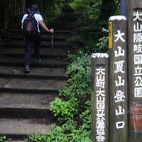 大山登山２　　～夏山登山道・弥山登頂・元谷経由下山～　　　　　H27.7.29