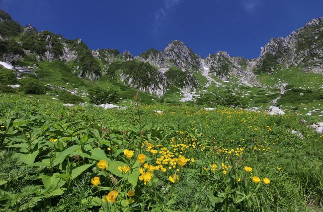 こう暑いと、周辺の低山には登る気がしません。高い山に行くしかないのですが、自家用車がないと、土日で簡単にいける夏山はそれほど多くありません。そこで、前泊日帰りで木曽駒ケ岳に登ってきました。<br />＜スケジュール＞<br />新宿15：30→（高速バス）→19：20駒ヶ根市　ビジネスホテル泊<br />駒ヶ根駅5：00→（バス）→5：45しらび平6：10→（ロープウェイ）→6：20千畳敷<br />＊駒ケ岳登山6：30〜10：30（4時間）<br />千畳敷10：30→（ロープウェイ）→10：40しらび平10：50→（バス）11：20菅の台<br />＊こまくさの湯11：20〜12：20（1時間）<br />菅の台12：20→（バス）→12：40駒ヶ根<br />駒ヶ根市13：00→（高速バス）→16：45新宿