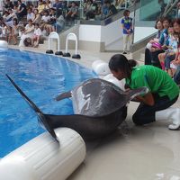 青春１８きっぷでどこ行こう？　1日目　２）仙台うみの杜水族館