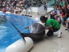 青春１８きっぷでどこ行こう？　1日目　２）仙台うみの杜水族館