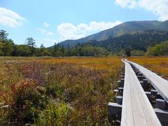 水上⇔尾瀬　自然に親しむ旅