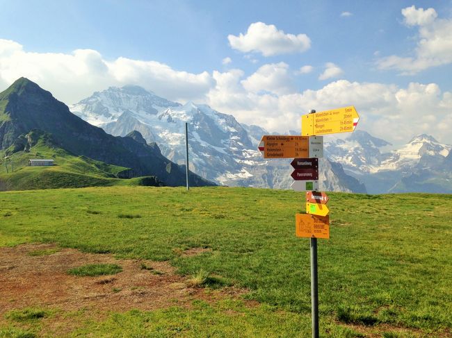 今年は７月に休みが取れそう…。なら、花が咲き誇る中で山歩きができるかも！のスイスで決定。<br />列車にも乗りたいし、ハイキングもしたい、でも語学力が…ということでＪＴＢの添乗員さん同行のツアーにしました。<br /><br />２日目：ルツェルン散策、ブルエンツ湖クルーズ<br />３日目：ユングフラウヨッホ観光とハイキング<br />４日目：アーレ渓谷ウォーキングと氷河特急<br />５日目：マッターホルン観光とハイキング<br />６日目：モンブラン観光<br /><br />その①は2・3日目、その②は4日目以降の旅の記録です。