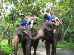 サワディーカ　バンコク！　３日目 ～ 象に乗り、小象と戯れ、ワニを捕まえる