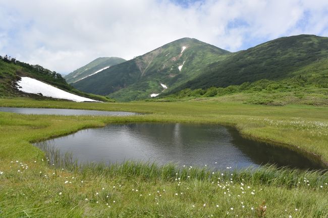 妙高山は、新潟県妙高市の標高2,454mの山で北信五岳（妙高山・斑尾山・黒姫山・戸隠山・飯縄山）の一つであり、その中では最高峰です。<br />火打山は、新潟県糸魚川市と妙高市にまたがる標高2,462mの山です。<br />この２つの山は、妙高戸隠連山国立公園に属しています。<br /><br />新潟県上越地方にそびえる妙高山！ワタスゲほか高山植物が咲き乱れて素晴らしい山行ができました。妙高を早く終えたのでお隣の火打山にも。<br />妙高山と火打山だと距離は23キロぐらいでしたが、とっても疲れました。。。<br />山行時間はかかりましたがやり遂げた充実感はたっぷりです。<br /><br />≪写真≫<br />高層湿原の天狗の庭から望む火打山<br />