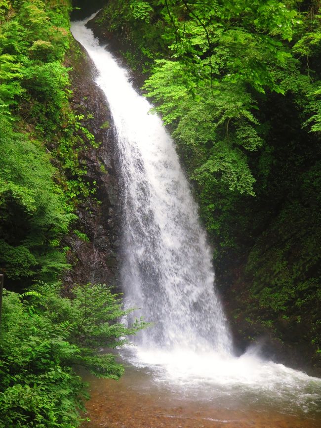  六合地区は山紫水明の地です。原生林から生まれた一筋の水は、やがて小さな流れから大きな流れとなり、美しい滝を形成し、山から駆け下りてきます。<br />　世立八滝は、白砂川支川の八石沢川の八つの滝の総称です。大仙（おおぜん）の滝、段々（だった）の滝、箱の滝、久内（きゅうない）の滝、不思議の滝、井戸の滝、殺人（さつうぜん）の滝、仙の滝と、それぞれ 趣の異なる表情を見せています。<br />	 <br />　大仙（おおぜん）の滝は世立八滝の中で最も簡単に行ける滝です。滝見ドライブイン手前の遊歩道を１〜２分程歩くとすぐに見られます。<br />　直下型の落差約20ｍ 、巨大な滝壺のある滝です。八石沢川の最下流にあるので、この滝を見れば上流の滝の水量を推しはかる事ができます。 <br />（http://www.nakanojo-kanko.jp/shizen/kuni-taki.shtml　より引用）<br /><br />　六合（くに）地区は、標高600メートル〜2,300メートルに位置し、面積の92％を山林と原野が占める森の郷です。田が少なく、耕地のほとんどを畑地が占める山間農業地域です。主要な農産物として、野菜類、花卉、特産品「花いんげん」などの豆類が栽培されています。<br /> 300種類以上の高山植物が咲き乱れる花の楽園野反湖、本州で唯一、大規模な群生地を形成するチャツボミゴケ、国重要伝統的建造物群保存地区に選定された赤岩集落の養蚕農家群など、未来に残したい景観だと、町と住民が一体となって積極的な保存に取り組んでいます。 平成23年（2011年）10月８日に日本で最も美しい村連合に加盟<br /><br />六合地区については・・<br />http://www.kunimura-kankou.com/<br /><br />中之条町（なかのじょうまち）は、群馬県北西部、吾妻郡にある町。吾妻郡の行政・経済・文化の中心地。平成22年（2010年）3月28日、六合村を編入する。郡内で最大の人口を有する。<br /><br />1000mを超える山々が広く分布し、山地が広い面積を占める。 四万川が町の西部を北から南に流れ、吾妻川に合流する。吾妻川は南部を西から東へ流れている。 中之条の市街地は吾妻川北岸の河岸段丘に形成されている。<br />（フリー百科事典『ウィキペディア（Wikipedia）』より引用）<br /><br />中之条町　については・・<br />http://town.nakanojo.gunma.jp/<br />