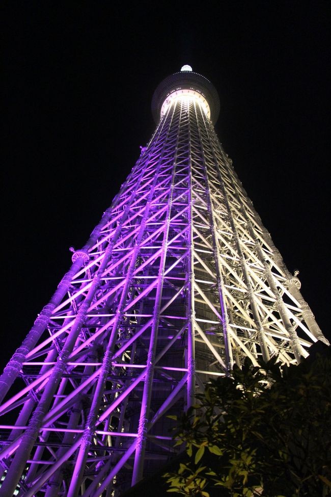 2012年5月に開業した「東京スカイツリー」<br />開業当時は凄い混雑で、エレベータ前に何時間も並んで待っているとテレビ放送で幾度となく見ました。<br />開業から2年余が過ぎ、そろそろ一時の混雑も解消されたのではないかと親戚の方にお願いしスカイツリー見学に出かけました。<br />折角、田舎から東京まで出かけて行くので天気が安定している季節を狙って行きました。<br />年老いた両親を連れ立っての旅行なので余り無理は出来ないので、ゆとりを持ったスカイツリー見学です。<br /><br />夕方の方が並んでいる人が少ないと親戚の方からアドバイスを受け、夜景を見るようにスカイツリーに向かいます。<br /><br /><br />東京スカイツリー<br />地上高： 634 m<br /><br />私の住んでいる信州の標高が700ｍ弱なのですが、<br />考えてみるとスカイツリーの高さとほぼ同じなんです。<br />何か妙な感じです。