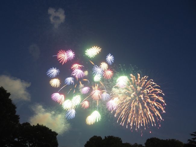 ほぼ毎年見に来ている立川の花火大会へ。<br />最初はレインボープールで遊んだ後で花火大会の予定でしたが、午前中の試合で子供が暑さで疲労し、花火だけ見に行きました。<br />（親子で試合後爆睡し、あ、やばい、時間だ！と寝起きのまま立川にやってきた）<br /><br />毎年隅田川花火大会と同じ日なのですが、立川に来てます。<br />隅田川と比べると、花火の本数少ないし、規模が小さいけれど、のんびりみられるのでこちらにしています。<br /><br />子供の初めての花火はどこにするか？で、いろいろ探して、2歳くらいの時にここに来てから毎年立川花火大会！<br />一昨年の土砂降りの時も公園内にいました・・・。<br /><br />花火の写真は設定明るくしすぎました。<br />m-10で初めて花火撮影。