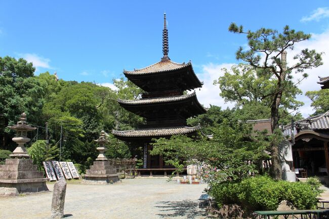 四国霊場八十八ヶ所霊場五十一番札所 熊野山 虚空蔵院 石手寺参拝