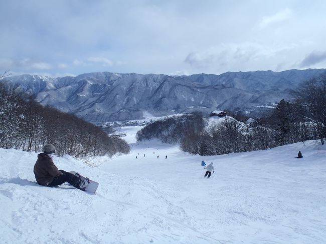 毎年恒例、今シーズンも同じ日同じ宿にお世話になってきました!!<br /><br />ゴンドラの列に並んで、やっと座れて「同乗者はイケメンじゃなくておっさんか〜・・・」(失礼!)と思っていたらゴンドラが停まりましたっ(−−;)<br /><br />ななななんと!強風でゴンドラ停止とのこと。やっと座れたのに乗車5分で降ろされました。<br />リフトを乗り継ぎ、山頂駅に着いたのは約2時間後(笑)<br /><br />山頂付近では何回も強風のためリフトが停止しました。こんなに風が強いのは初めて。<br />でもパウダー最高でした☆<br /><br />夜の間にだいぶ降ったらしく、車もがっつり埋まってました!<br /><br />2日目は半日券であがって『穂高神社』に初詣に行ってきました。そしてひいたおみくじは大吉!<br />二年連続大吉は初めて〜。今年も充実した一年になりそう♪♪