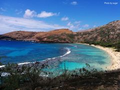 【20年ぶりのHawaii旅行】2日目・ハナウマ湾