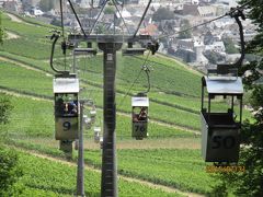 ドイツ、ベルギー、オランダ、トルコ駆け足の旅 Vol. 2　ドイツ、 リューデスハイム（Rudesheim）葡萄畑と蜂の町