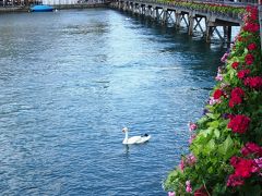 ７月のスイス　⑯ルツェルン　旧市街・街歩き