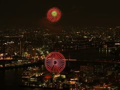 旅するイルカ♪　咲洲庁舎から淀川花火大会を遠望へ