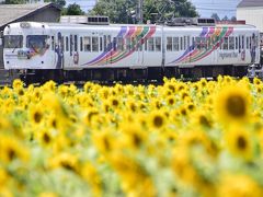 松本大学近くのひまわり畑を見に松本電鉄上高地線に訪れてみた