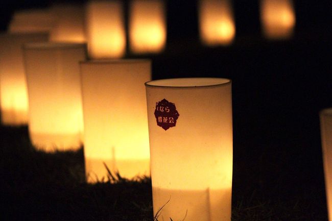 奈良公園とその周辺の世界遺産の一部で催される、第17回目「なら燈花会」に行ってきました。<br />2015年開催期間は8/5～8/14まで。<br />三脚や自撮り棒は使用禁止。