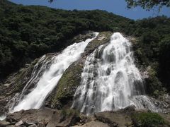 自然の宝庫　屋久島?　ドライブ編