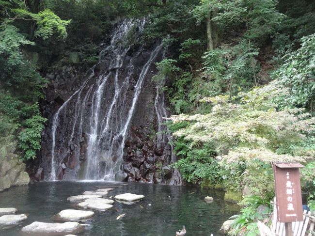 近くて便利なのに泊まる機会のなかった箱根温泉。<br />火山騒動のおかげで夏休みでも空きを発見！<br />このチャンスに早速1泊2日の箱根旅行に行ってきました。