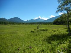 日光・華厳の滝～さかなと森の観察園～戦場ヶ原・小田代ヶ原～湯ノ湖周辺を歩きました