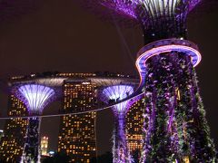 三度目のシンガポール　リベンジの旅2