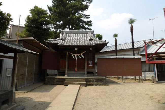 　川崎市幸区古川町に鎮座する古川神明神社は創建年代等は不詳である。<br />　新編武蔵風土記稿に「（古川村）神明社　字鶴見田にあり、稲荷を相殿とす、前に木鳥居あり、例祭年々九月十九日、村民持なり」とあり、江戸時代末期には既に祀られていたことが分かる。<br />　祭日は八月第三日曜日であるが、境内に舞台の骨組みが建てられているから、祭礼の前に境内で町内盆踊り大会が行なわれるのであろう。しかし、盆踊り会場にしては狭い境内である。<br />　また、境内の樹齢50年程の銀杏の木の下には古川庚申堂があり、正徳5年（1715年）建立の庚申塔が祭られている。<br />　社殿には手書きで、「神明神社、稲荷神社」とそれぞれ墨書と赤で並んで書かれた扁額が掛かっている。江戸時代から稲荷を相殿としていることは変わらない。Webには「神明大神」との記載が多いが、「神明社」とあることと、社殿に掛かる扁額から「神明神社」が正式名称であろう。<br />　祭神は伊邪那岐命、伊邪那美命とあるが、相殿の祭神である宇迦之御魂神（うかのみたま、倉稲魂命）が加えられているはずだ。<br />（表紙写真は古川神明神社社殿）