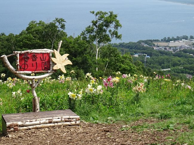 オーンズ春香山ゆり園　道内最大級<br />無料ご招待券をいただいちゃいました<br /><br />期間　７／１１から８／２３<br />時間　午後９：００〜１７：００<br />入園料　大人　８００円<br /><br />今が見ごろということで出かけました<br /><br /><br /><br />