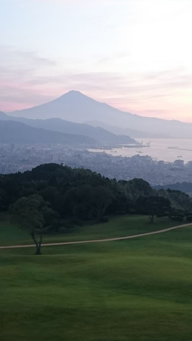 「死ぬまでに行きたい！世界の絶景　ホテル編」詩歩著を読み、<br />行きたいと思った「日本平ホテル」<br />今回はホテル宿泊が目的だったため、出発前日にばたばたと<br />予定を組み、レンタカー手配をし、行ってきました！<br /><br />初レンタカー　Vitzで130KMしか走ってないのに、慣れない東名にぐったり<br />そしてあまりの日差しに日焼けしまくり<br /><br />今年の夏は焼けすぎです！