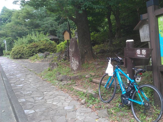 たんなるオッサンの写真日記<br />今年は久しぶりにバンコクでも行こうかと<br />ちょっとだけ思ったが、オランダ・ベルギーを機に<br />なんか一人旅はもういいかと。。。金がもったいないなぁっと。<br />ごめんなさいねぇ〜<br />花嫁募集中ですよ〜(*_*)花嫁募集中ですよ〜(*_*)<br />花嫁募集中ですよ〜(*_*)花嫁募集中ですよ〜(*_*)<br />花嫁募集中ですよ〜(*_*)花嫁募集中ですよ〜(*_*)<br />花嫁募集中ですよ〜(*_*)花嫁募集中ですよ〜(*_*)<br />花嫁募集中ですよ〜(*_*)花嫁募集中ですよ〜(*_*)<br />花嫁募集中ですよ〜(*_*)花嫁募集中ですよ〜(*_*)<br />花嫁募集中ですよ〜(*_*)花嫁募集中ですよ〜(*_*)