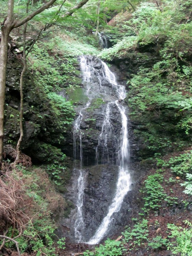 渓谷と滝に癒されて～森林浴でマイナスイオンをたっぷり浴びました（栃木県塩原温泉）