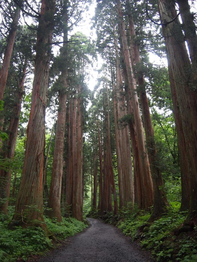 長野の天の岩戸伝説の地、戸隠神社へ。<br />駐車場から約2kmほど山に入ったところにある戸隠神社奥社まで参拝に行ってきました。<br />3連休の中日の日帰り参拝です。