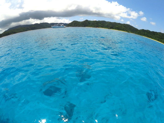 イリオモテ2015　サンゴの海に漂う