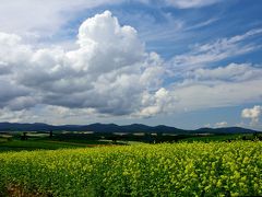 「山紫水明」の道東＆美瑛を巡る　☆神の子池～さくらの滝～摩周～そして津別峠～美瑛☆