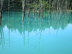 青い池と旭岳ロープウェイ