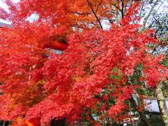 姉妹旅行・・・・関西～２泊３日～２日目