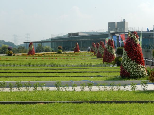 栃木那珂川町にある馬頭温泉郷、その中の広瀬の湯「ささや荘」に宿泊、翌日に大田原市旧湯津上村にあるなかがわ水遊園と近くにある光丸山法輪寺へ。<br /><br />宿泊した温泉旅館ささや荘は那珂川沿いの高台に建つ旅館で部屋から那珂川を眺めることができます、建物はちょっと古いですが、安く宿泊出来ました、若い主人が気さくでしたのでいろいろなお話をしました、日帰り入浴のお客さんも来ていました。<br /><br />なかがわ水遊園は旧湯津上村の那珂川沿いにある栃木県唯一の水族館で、有料施設のおもしろ魚館や、お魚ふれあいステーション、大池、水の広場、公園サービスステーションなどがあり、それぞれで楽しむことができます。<br /><br />光丸山法輪寺は旧湯津上村佐良土の国道294号線沿いにある天台宗の古刹で境内に初院・中の院・奥の院・大日堂があり、那須三十三ヶ所観音霊場第二十三番札所になっています。