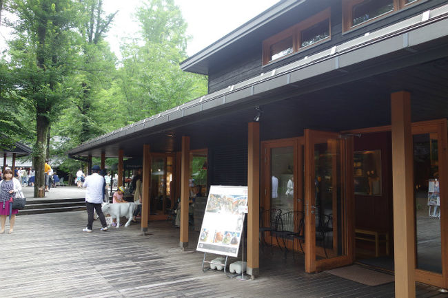台風接近 怪しい天気の信州旅行 4 最後に軽井沢 ハルニレテラス編 軽井沢 長野県 の旅行記 ブログ By 皐月さん フォートラベル 台風接近 怪しい天気の信州旅行 4 最後に軽井沢 ハルニレテラス編 軽井沢 長野県 の旅行記 ブログ By 皐月さん フォートラベル