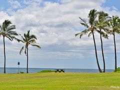 【20年ぶりのHawaii旅行】5日目・ノースショア