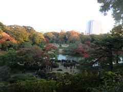 紅葉の六義園と江戸東京博物館