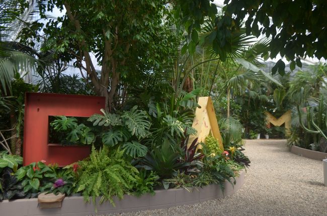 茨木市に、「全ての人が楽しめる植物の楽園」をテーマにした関西最大級のガーデンセンター「ザ・ファーム・ユニバーサル」が2015年4月4日にオープン。カフェが2015年7月にオープンしたので行ってきました。<br />ここが茨木か?ってくらい別世界で、本当におしゃれなところでした。植物たちもしっかりしており少し高めですが買う価値ありです!!<br /><br />~ホームページ~<br />http://the-farm.jp/<br /><br /><br />追加<br />2016.10 ハロウィン季節<br />2016.12 クリスマス季節